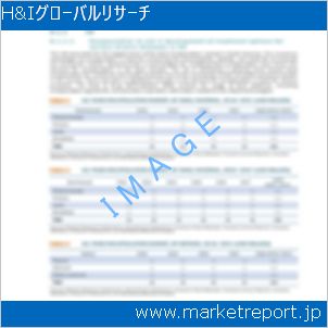 市場と産業調査レポートのイメージ